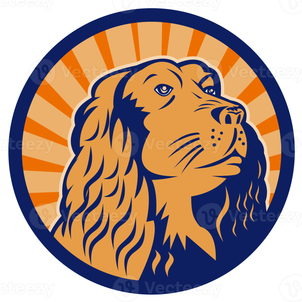 Springer spaniel head png