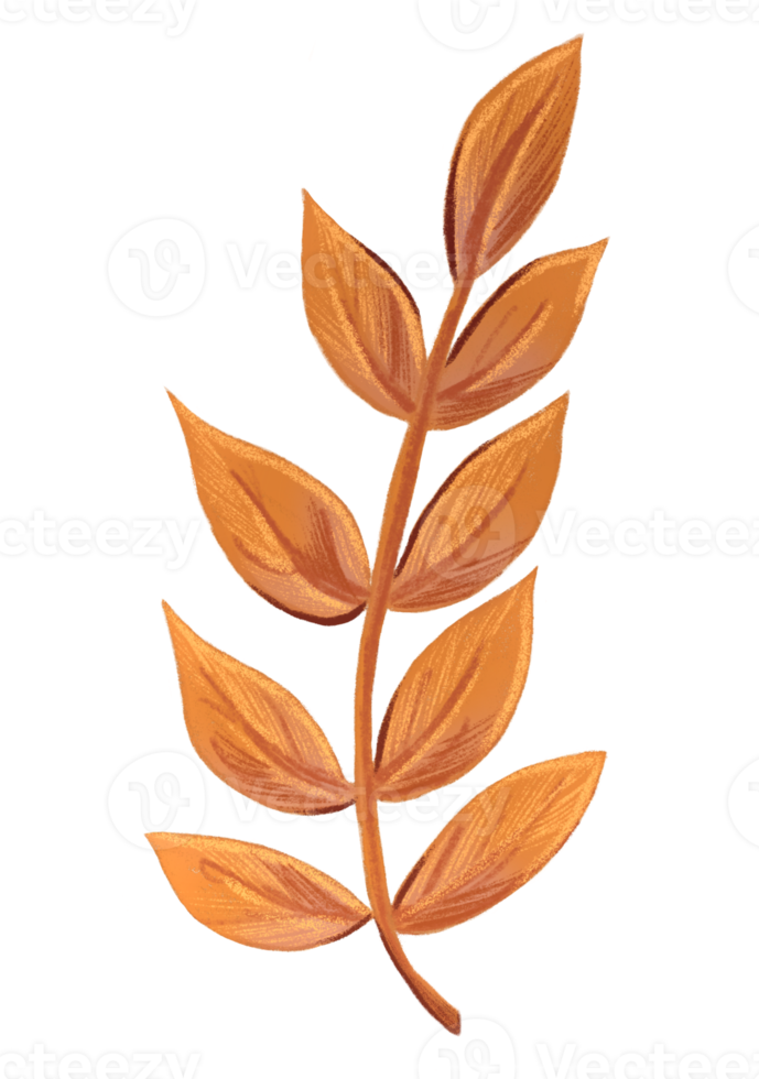Autumn leaf, isolated on white background. Simple cartoon style. Design for stickers, logo, web and mobile app. png
