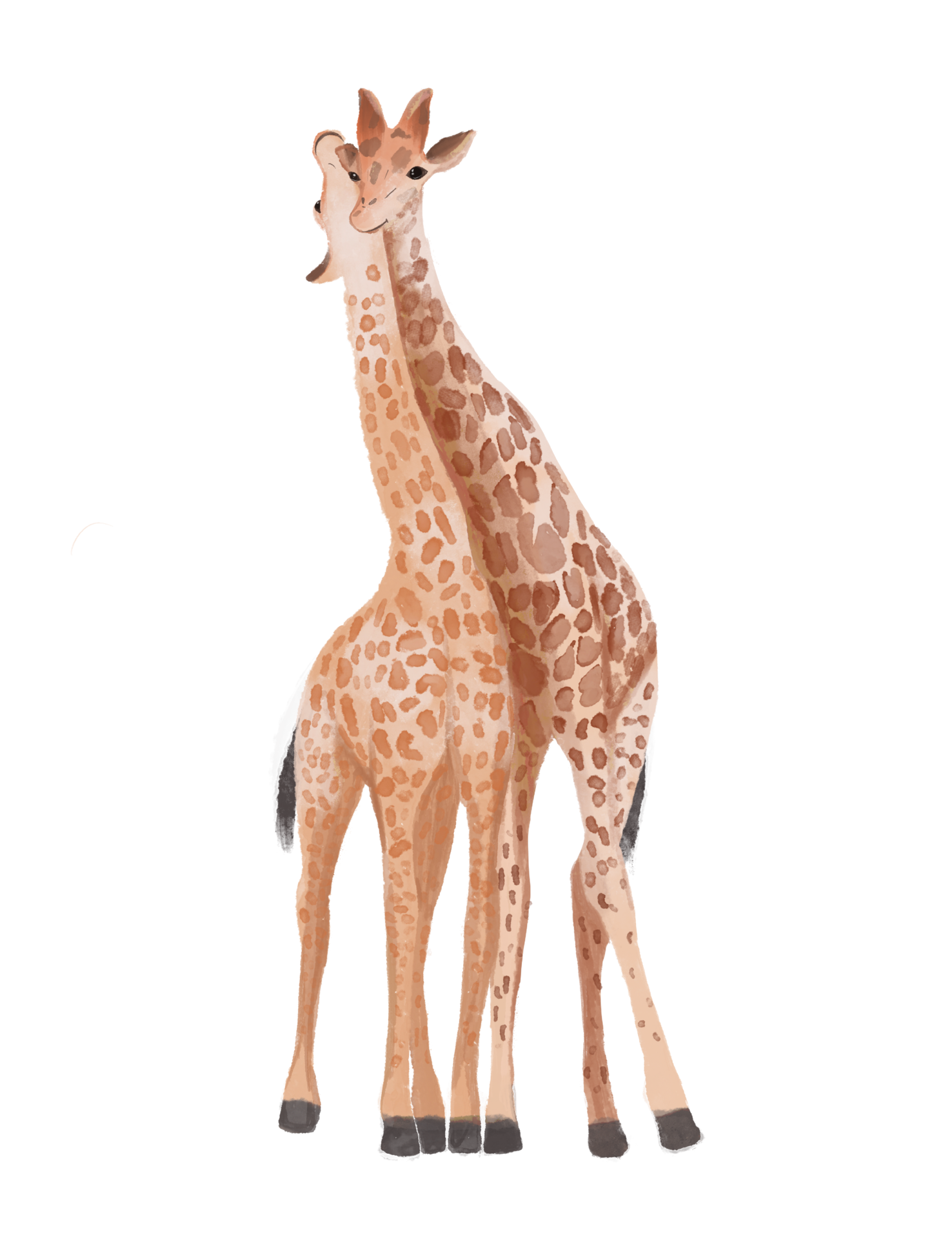 ilustração em aquarela duas girafas em um fundo transparente 13261187 PNG