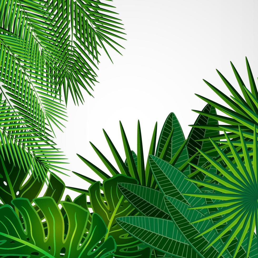 marco hecho de hojas sobre un fondo blanco. borde vectorial floral tropical de la selva. vector