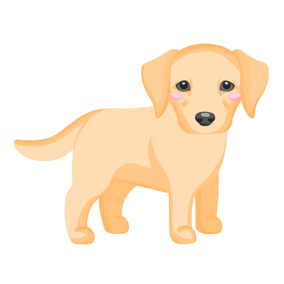 puppy Labrador retriever cute dog animal 13261284 PNG