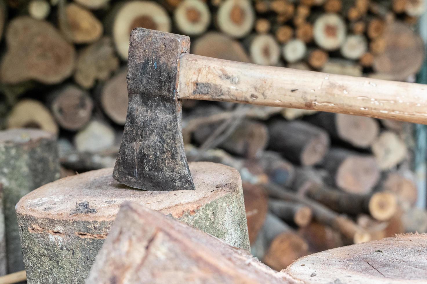 Logging, thick logs lie in the forest against the backdrop of a sunset, copy space, timber photo