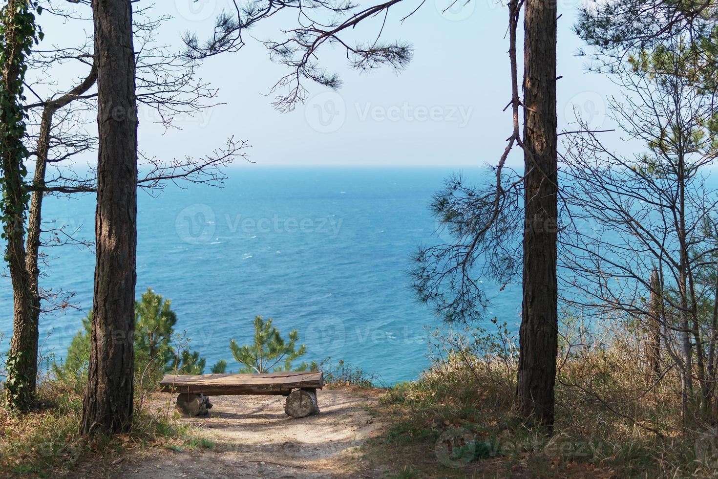 A single bench made of natural wood in the forest with a view of the sea. photo
