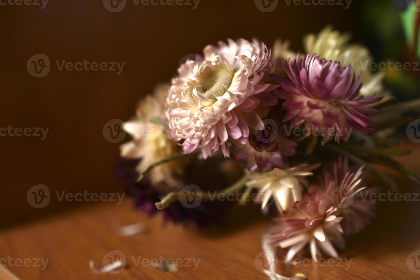 Dried aster flowers on the table. Beautiful still life of dried colored flowers. photo