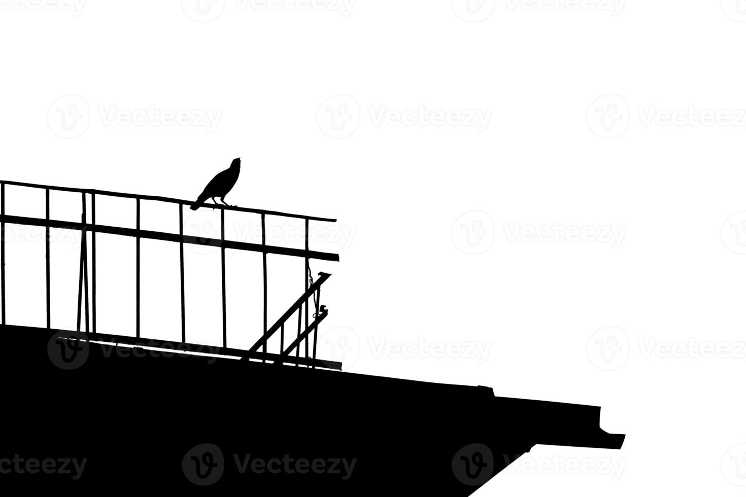 Silhouette of black crow on the roof of house on white isolated background. Design element. Halloween. Copy space photo