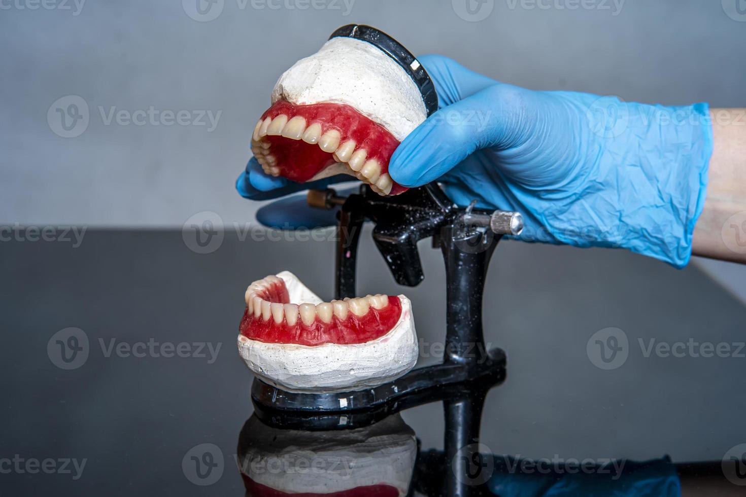 prótesis dental en manos del médico de cerca. dentista sosteniendo un puente dental de cerámica. Vista frontal de la dentadura completa. foto conceptual de odontología. odontología protésica.