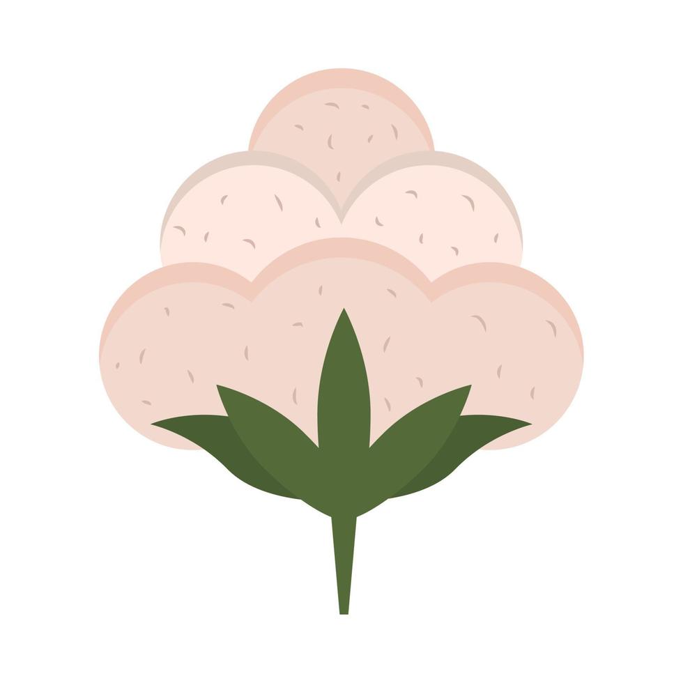 cotton nature flower vector