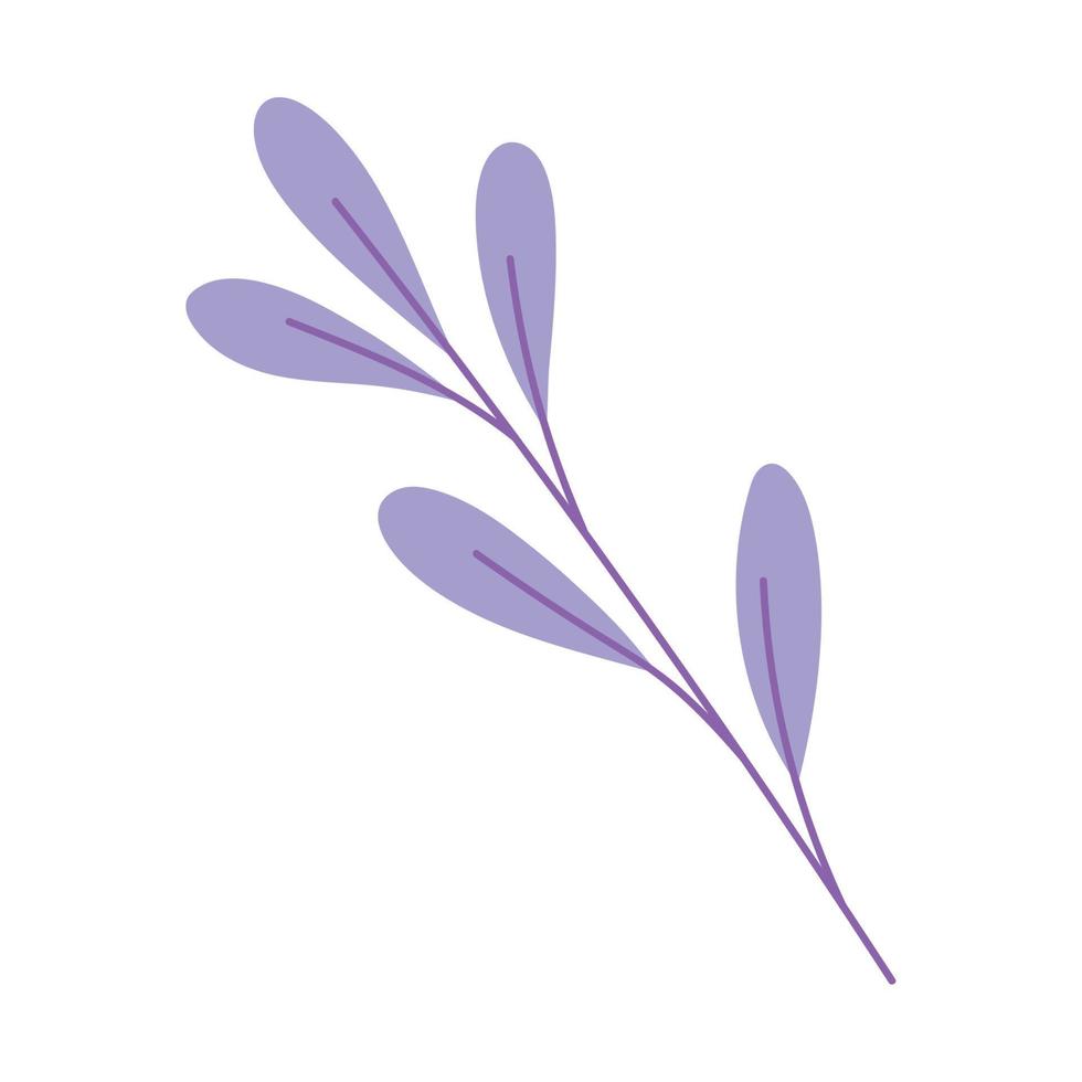 branch leaves foliage nature isolated icon design white background vector