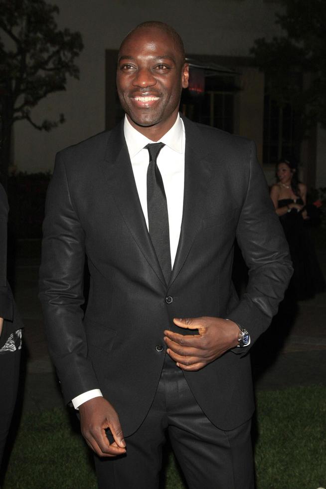 LOS ANGELES - FEB 15 - Adewale Akinnuoye-Agbaje at the Make-Up Artists And Hair Stylists Guild Awards 2014 at the Paramount Theater on February 15, 2014 in Los Angeles, CA photo