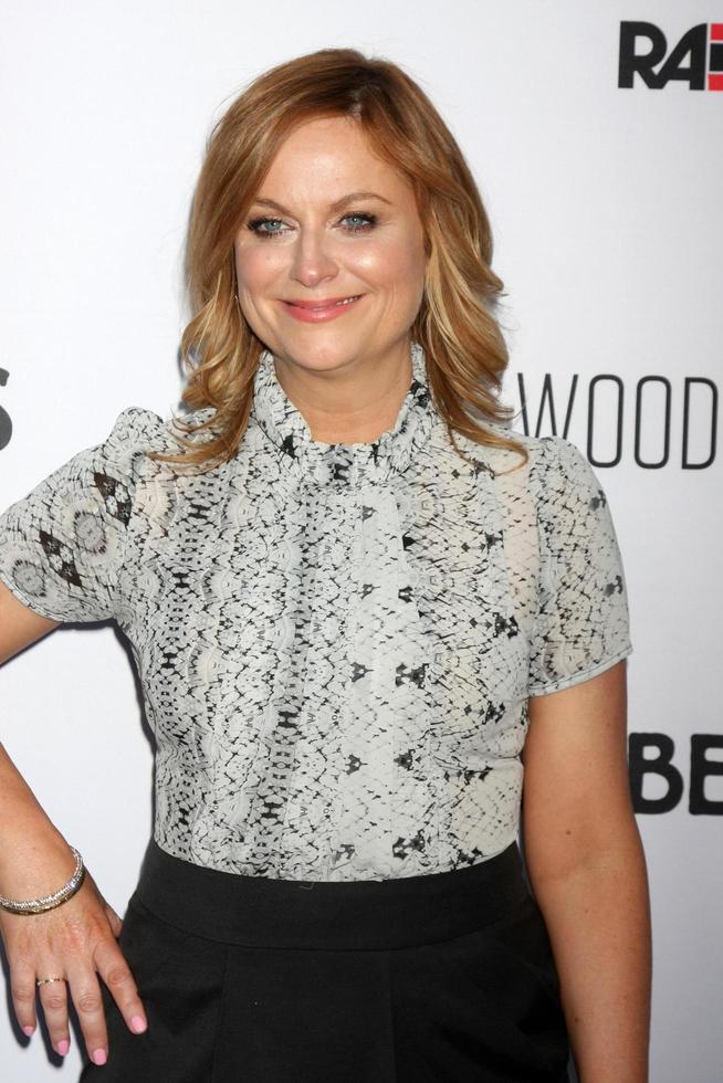 LOS ANGELES - FEB 15 - Amy Poehler at the Adult Beginners Los Angeles Premiere at the ArcLight Hollywood Theaters on April 15, 2015 in Los Angeles, CA photo
