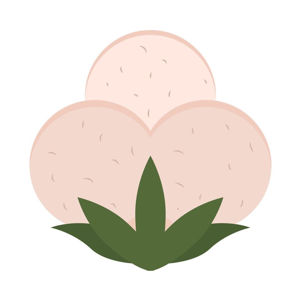 cotton isolated icon vector