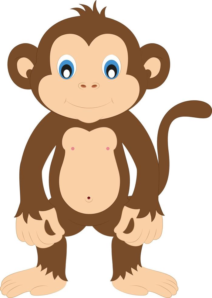 Cute Cartoon Monkey Vector On White Background