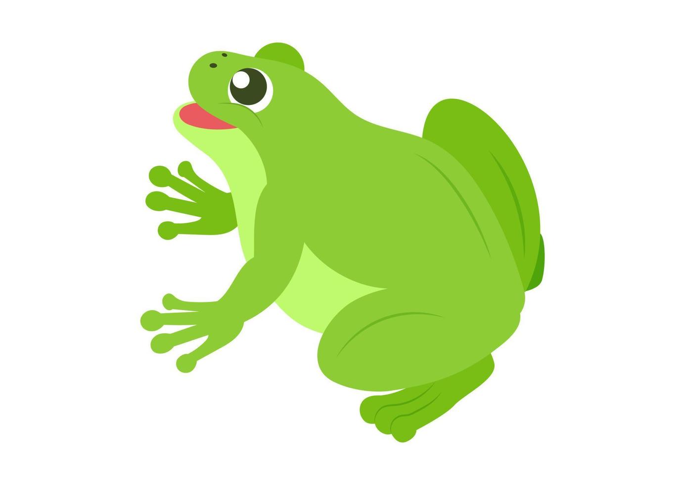 Cartoon green frog. Vector illustration of green frog