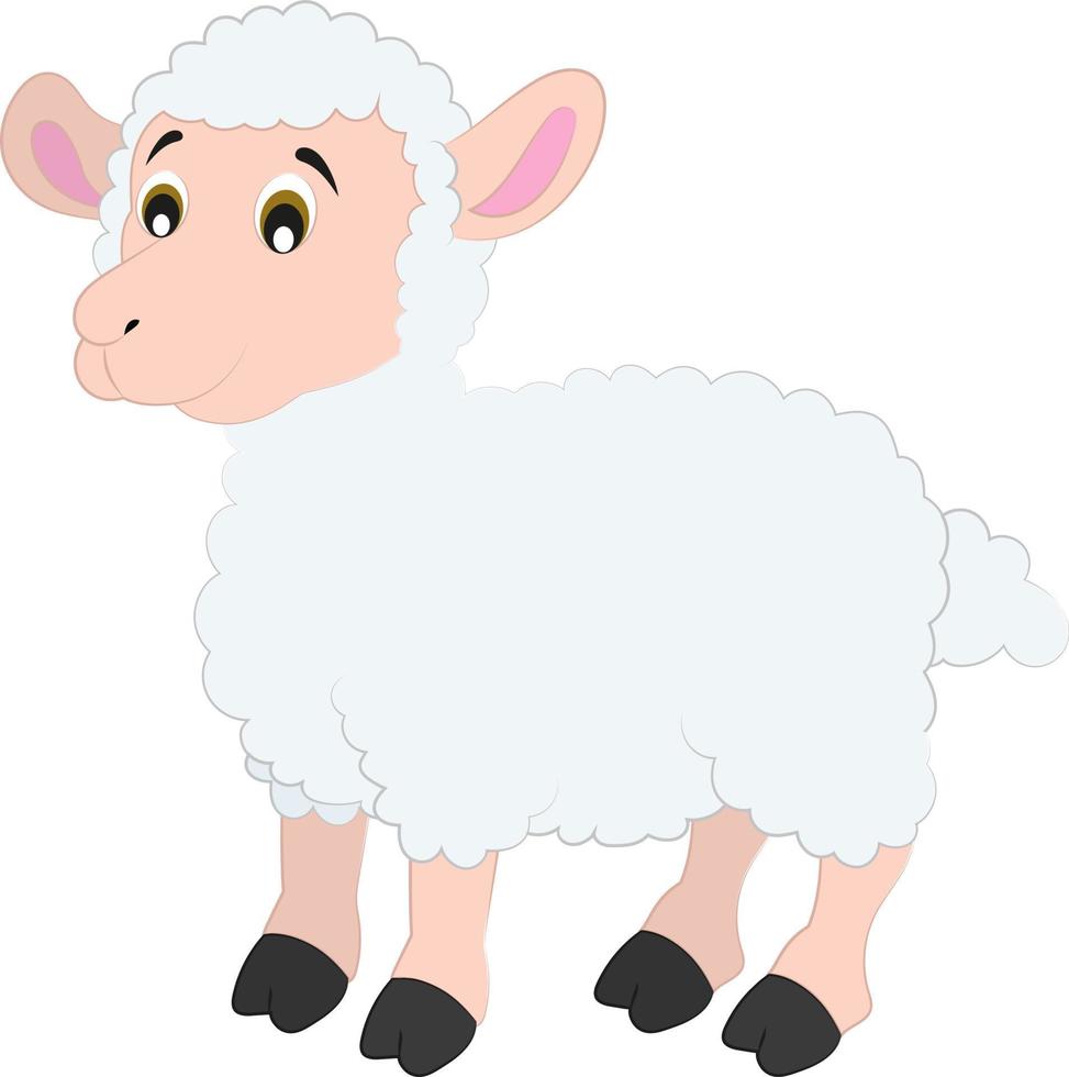 vector de personaje de dibujos animados de ovejas sobre fondo blanco