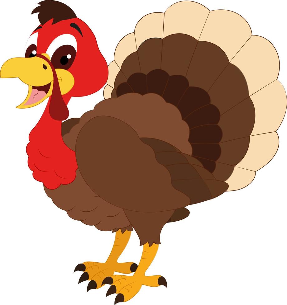 Cartoon Vector Turkey On White Background