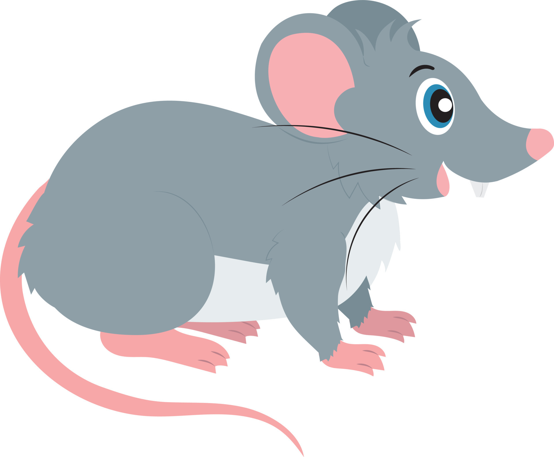 Cartoon Vector Mouse. Cute Mouse Clipart 13266268 Vector Art at Vecteezy