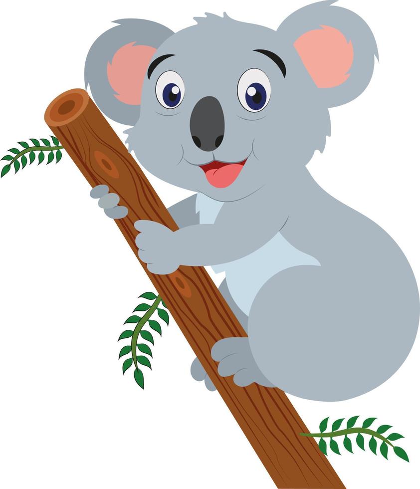 vector de koala gris de dibujos animados