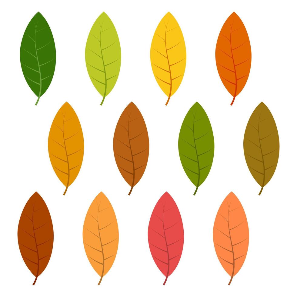 Set of twelve autumn leaves in different autumn colors. Vector illustration.
