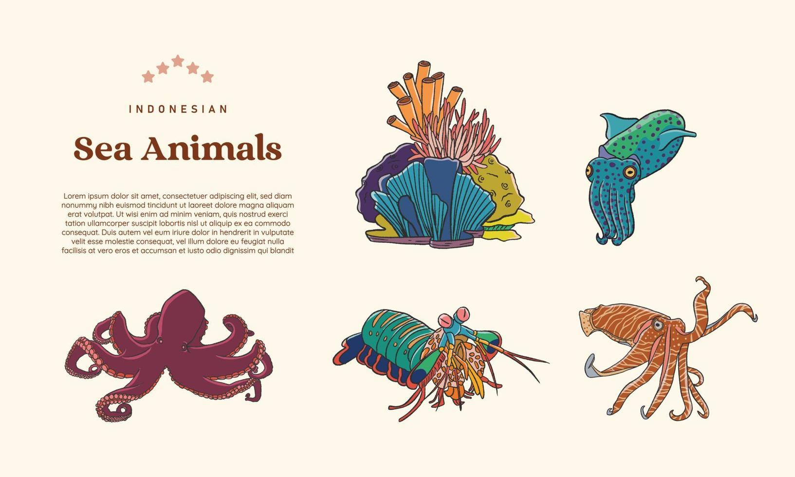 Isolated Indonesian Sea Animals hand drawn illustration vector