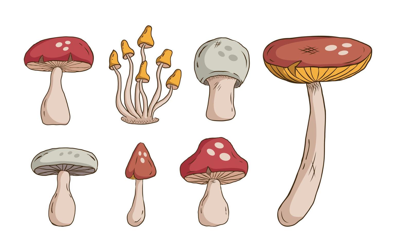 Mushroom colorful doodle set. various Mushrooms hand drawn. vector