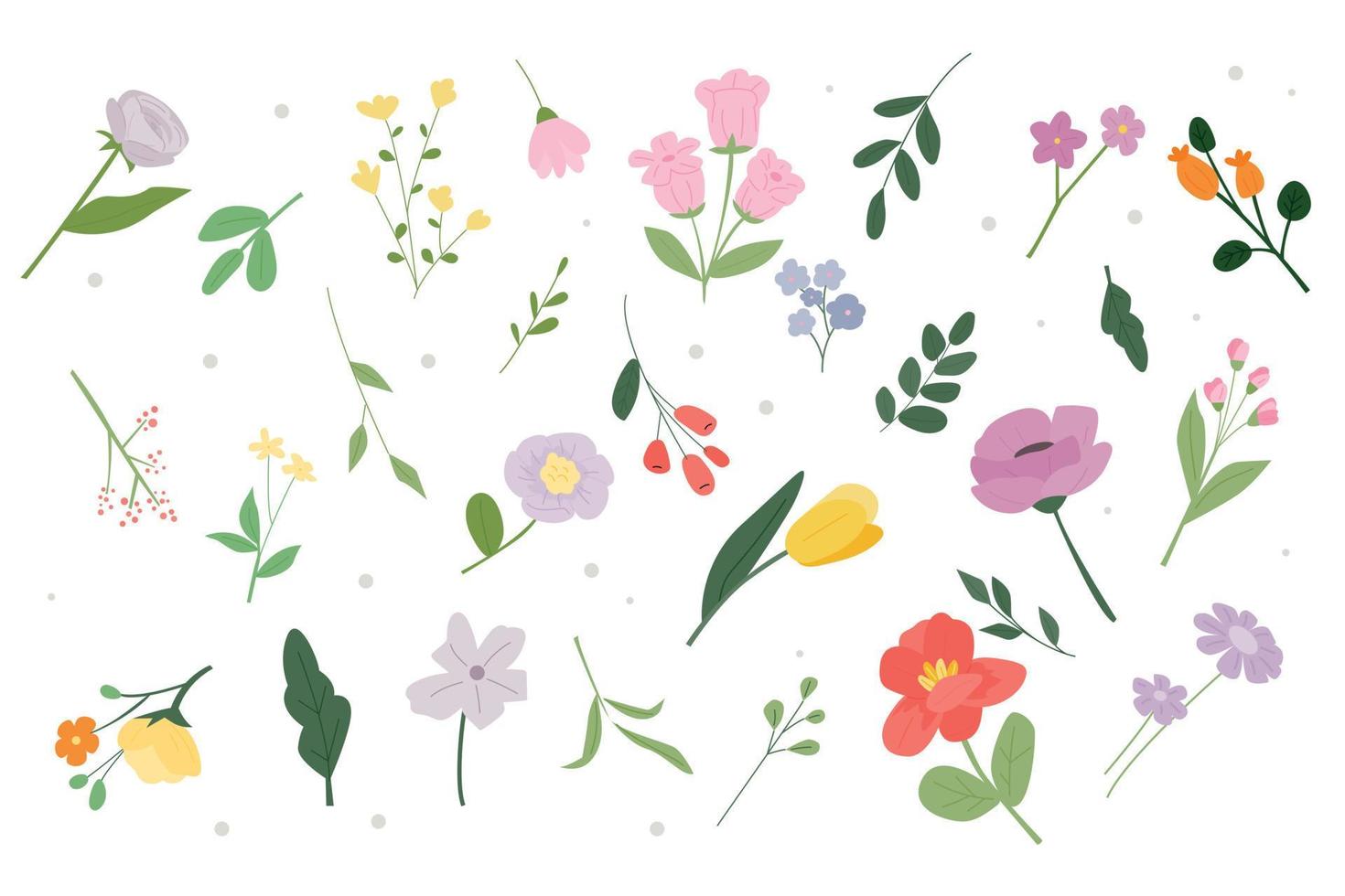 una colección de diferentes tipos de fuentes de diseño de flores y plantas. ilustración vectorial plana. vector