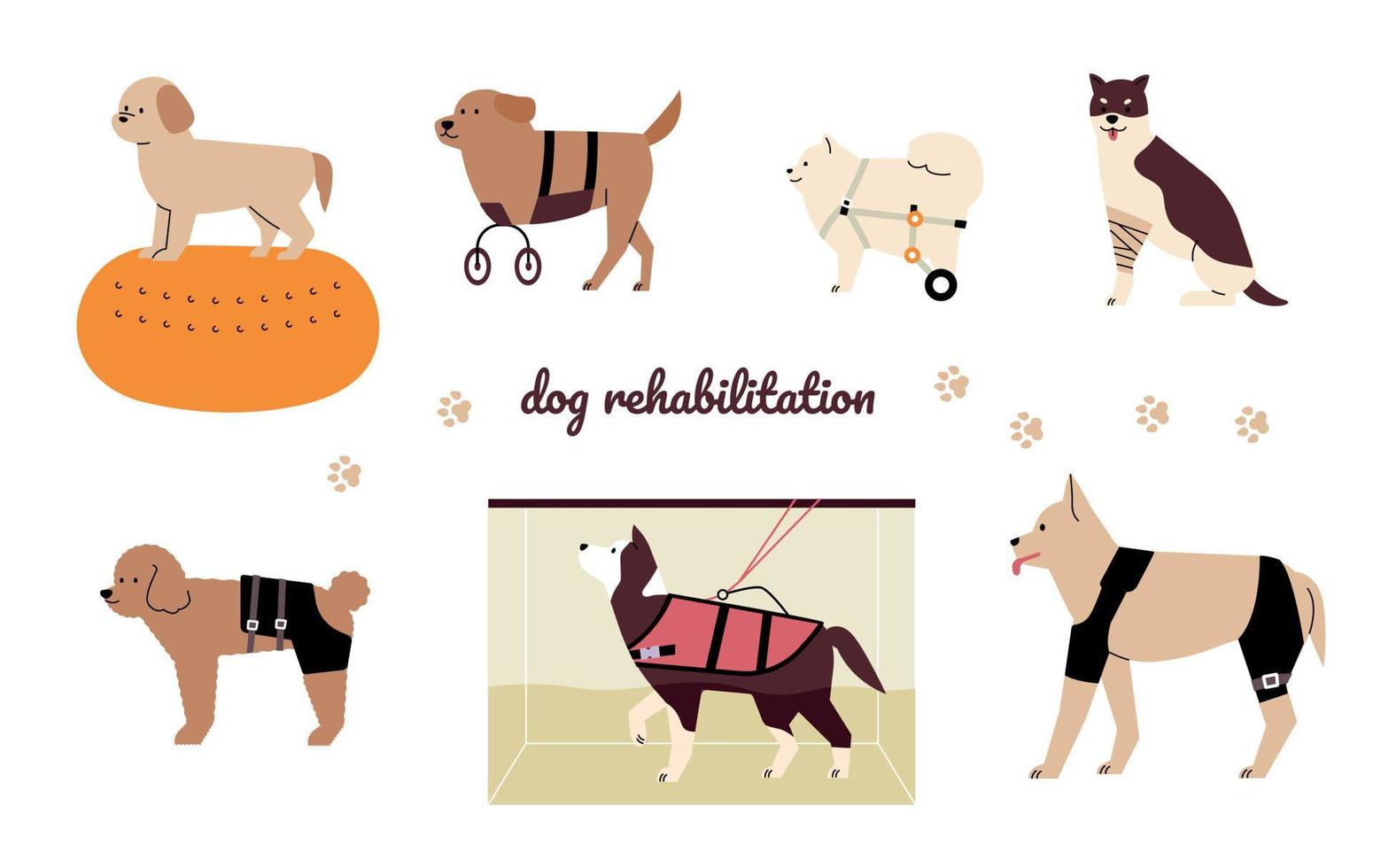 Rehabilitation therapy for dogs. Dogs with walking aids. flat vector illustration.