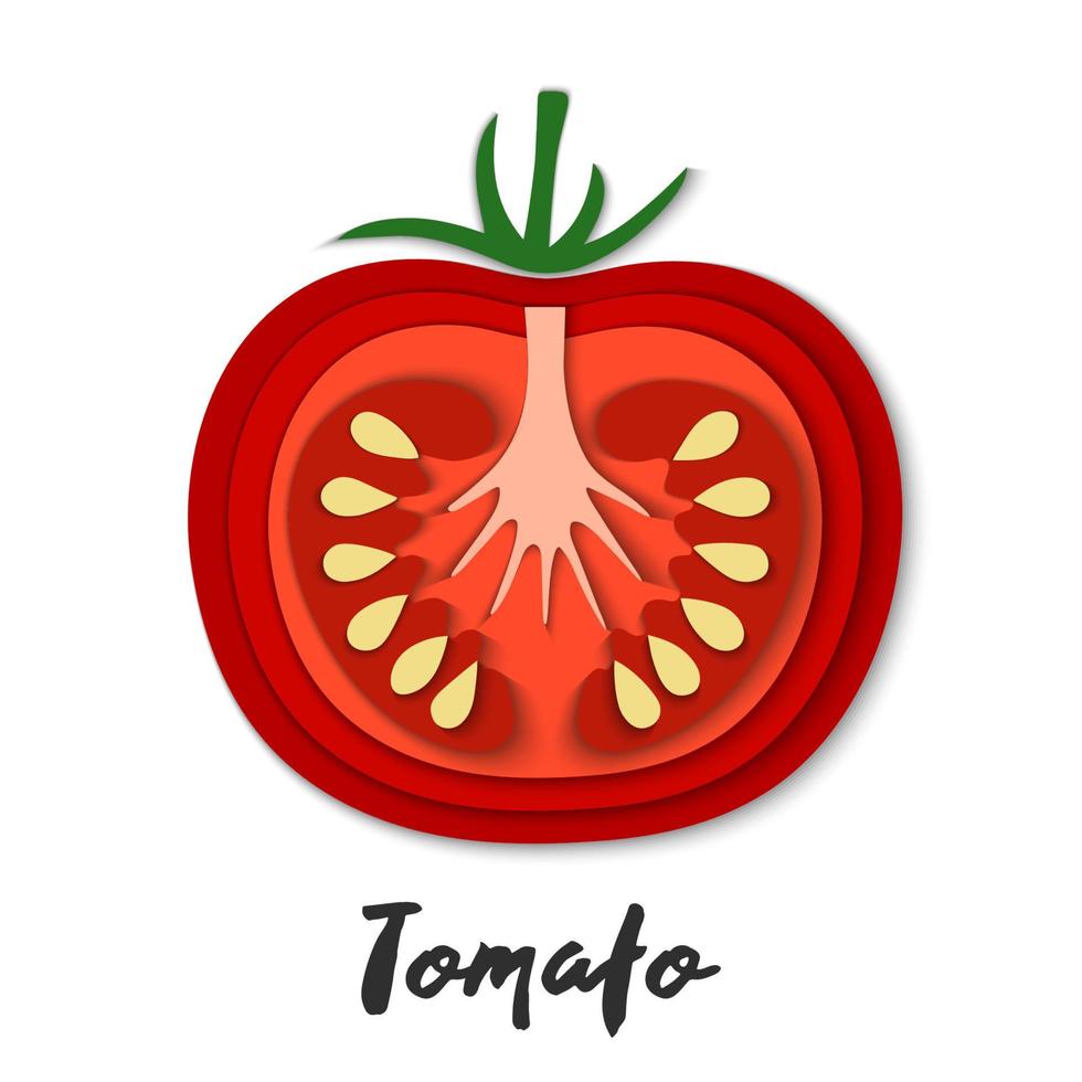 conjunto vectorial de tomate rojo cortado en papel, formas cortadas. Estilo de arte de papel abstracto 3d, diseño de concepto de origami, envasado de alimentos, publicidad, desintoxicación, cosméticos, alimentación saludable. vector