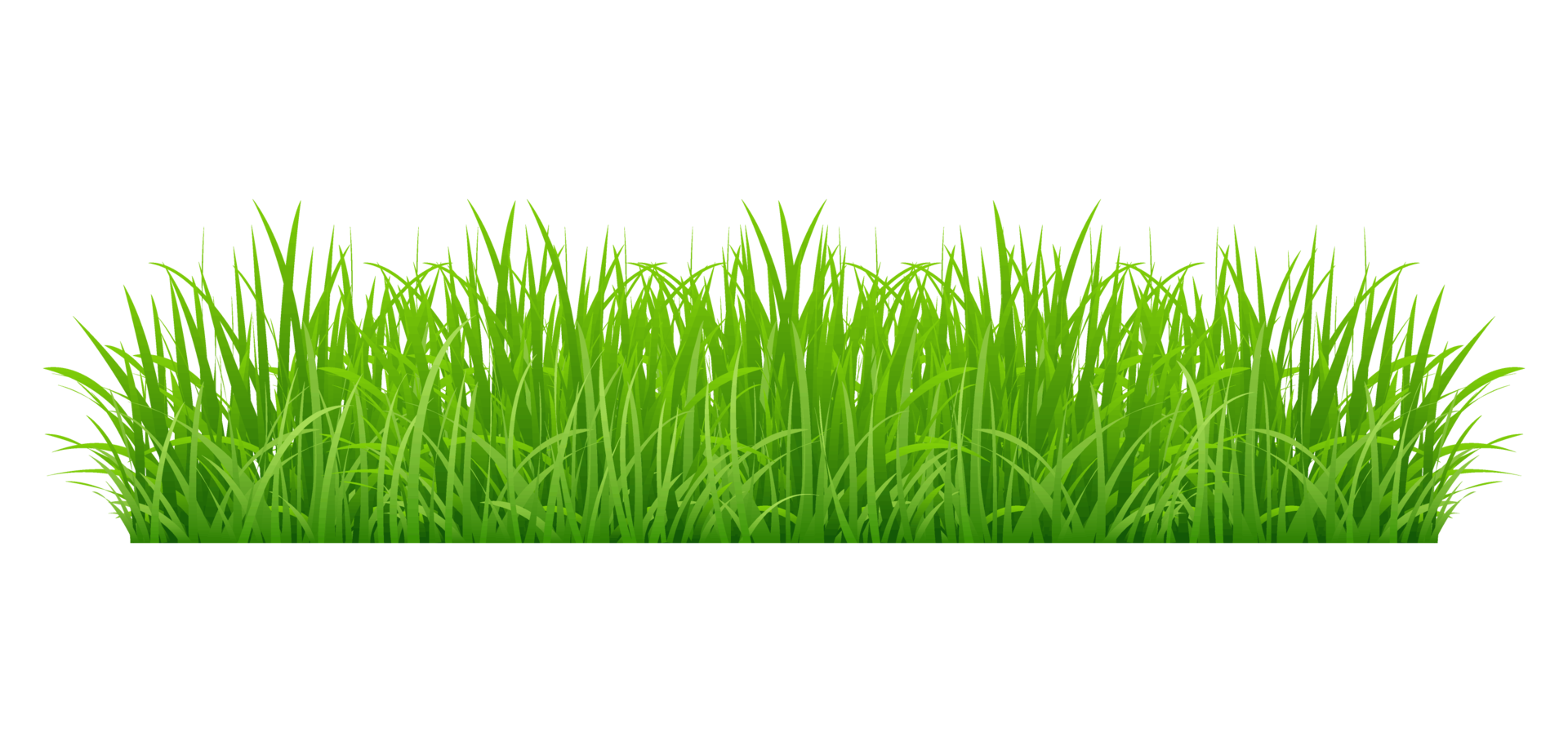 Realistic Grass PNG Free Images with Transparent Background - (7,341 Free  Downloads)
