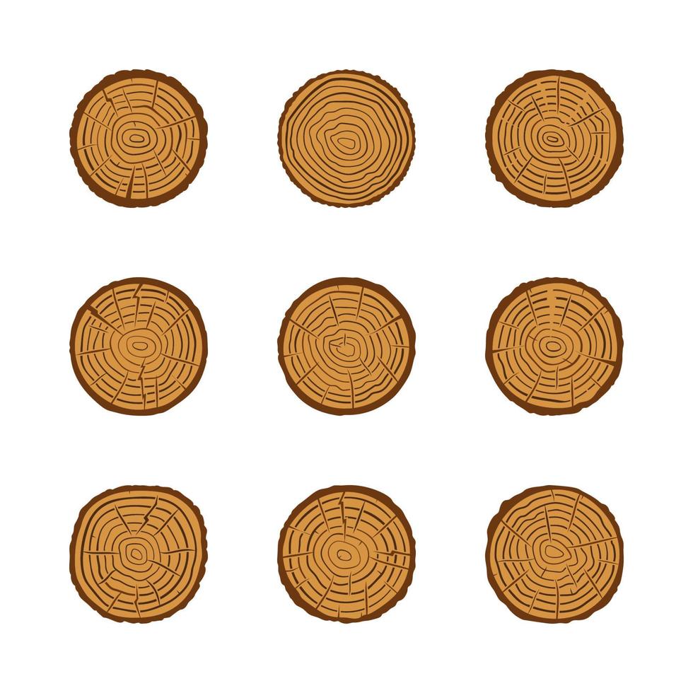 Trunk with Tree Growth Rings vector colored icons