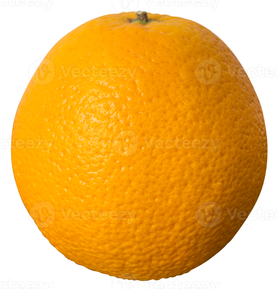 naranja recién recogida aislada png