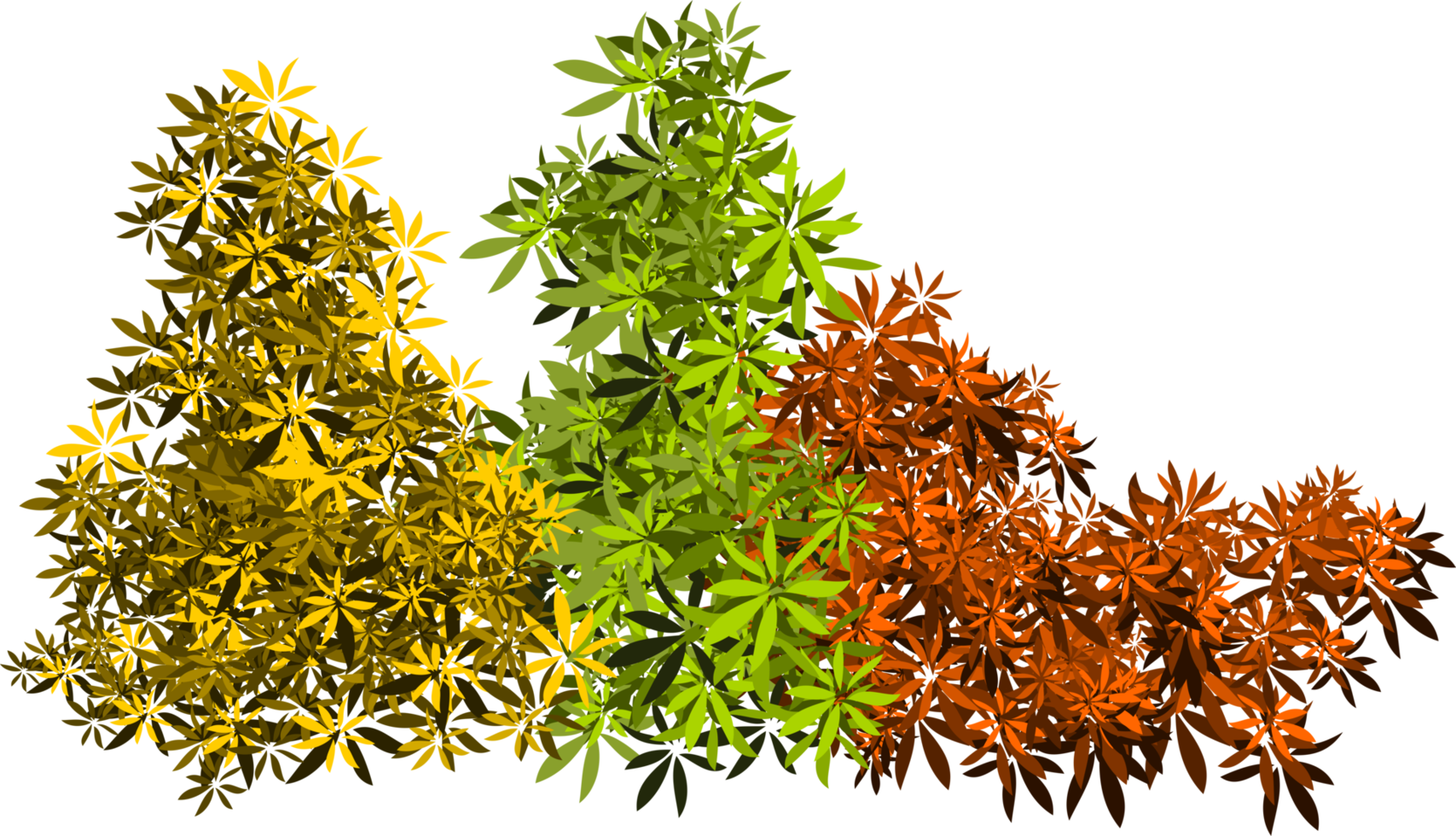 feuilles de brousse png