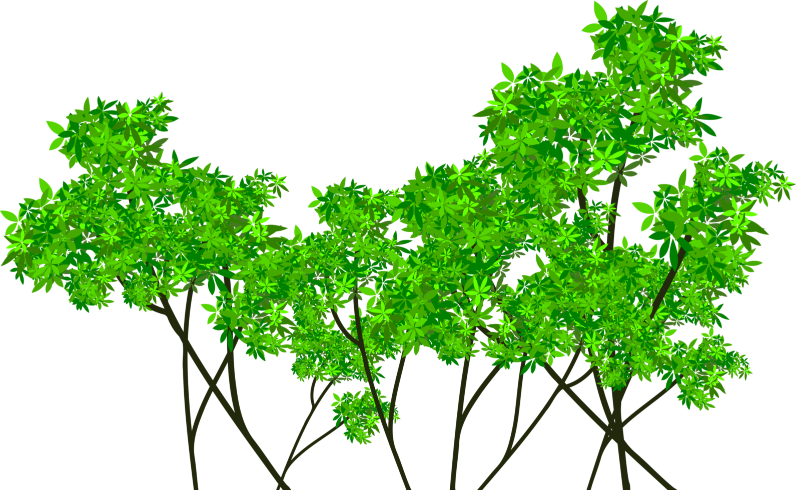 forest clip art png