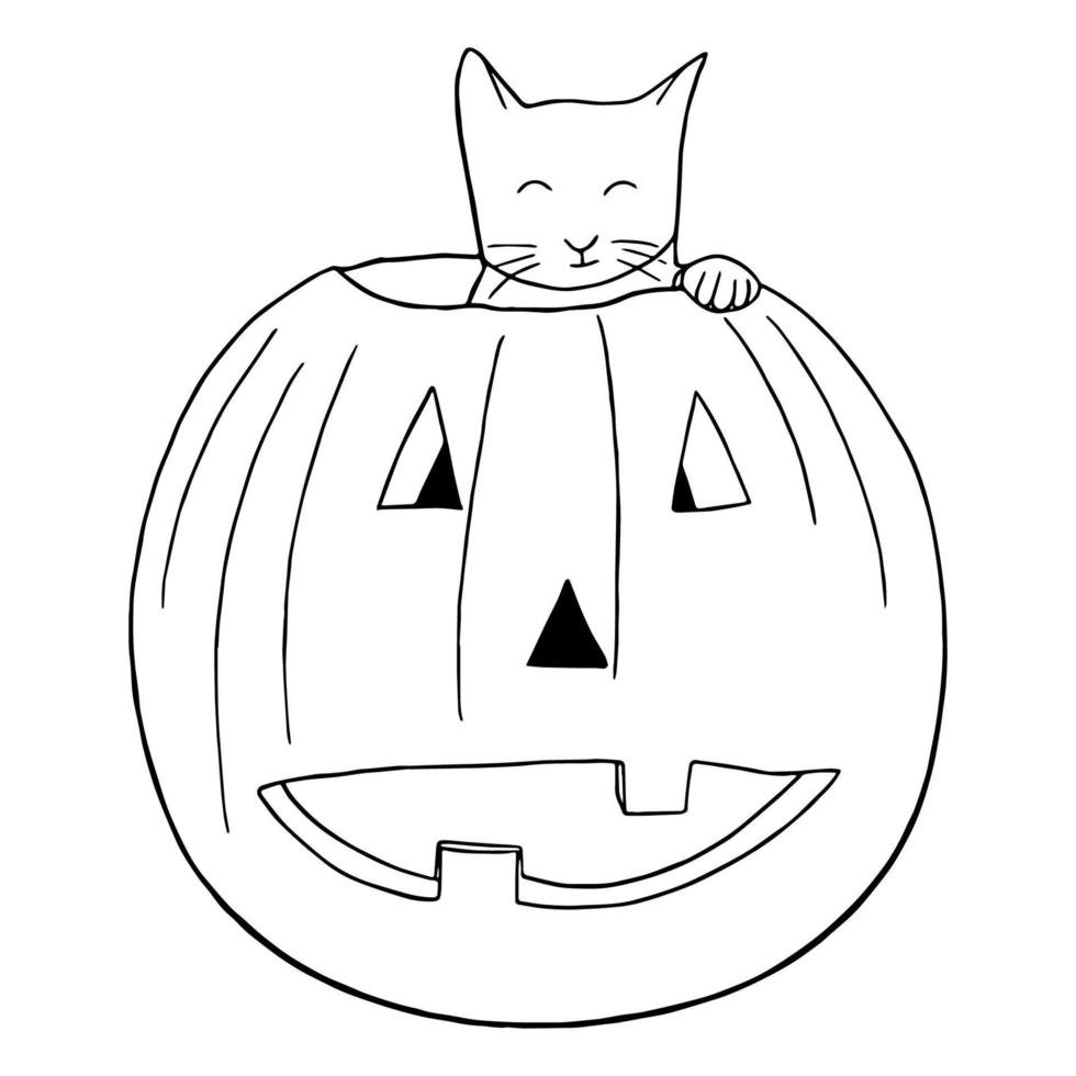 arte lineal mínimo de lindo gato en el concepto de calabaza de halloween, estilo garabato dibujado a mano vector