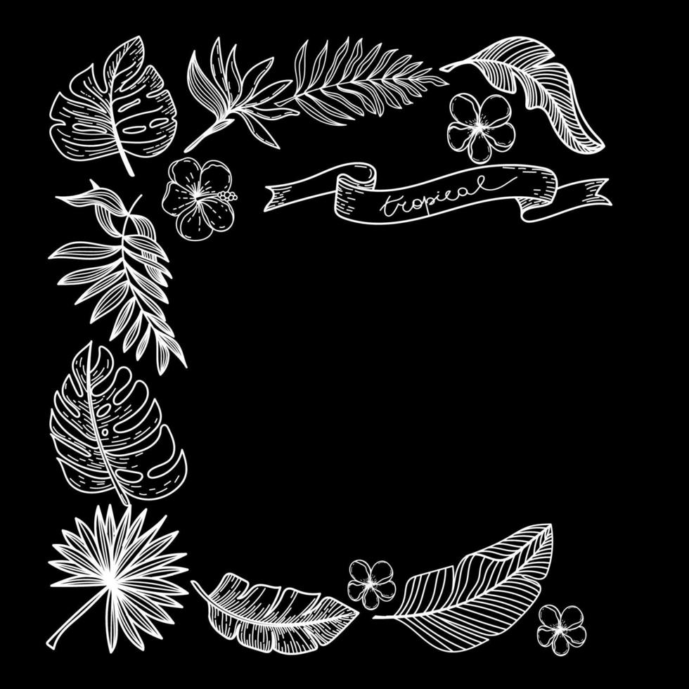Frame made of silhouettes of tropical elements of strelitzia flower, hibiscus, monster leaves, etc. Hand-drawn in doodle style. Square composition on black background. Tropical lettering is hand drawn vector