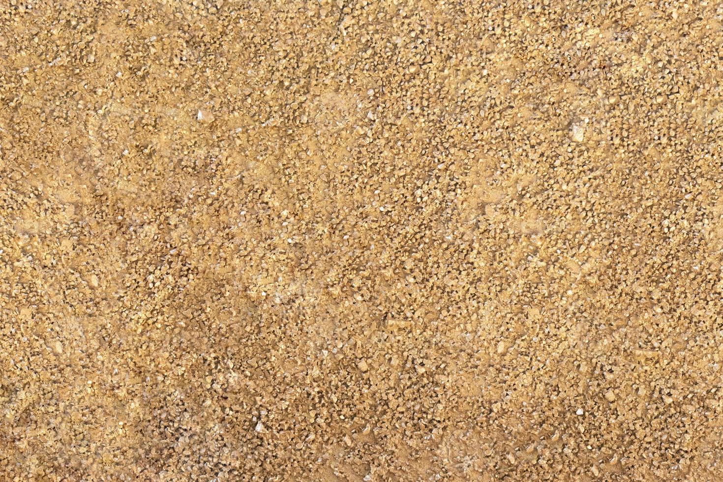 Gold and yellow sand of beach or wall, small pebbles. Texture. Copy space photo