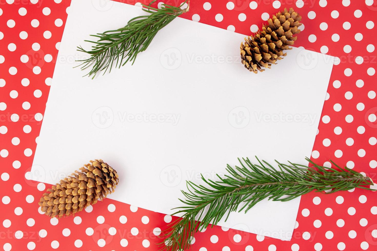 Fir twigs and cones on red background with polka dot and white sheet for text. Christmas, New Year, autumn, winter. Copy space photo