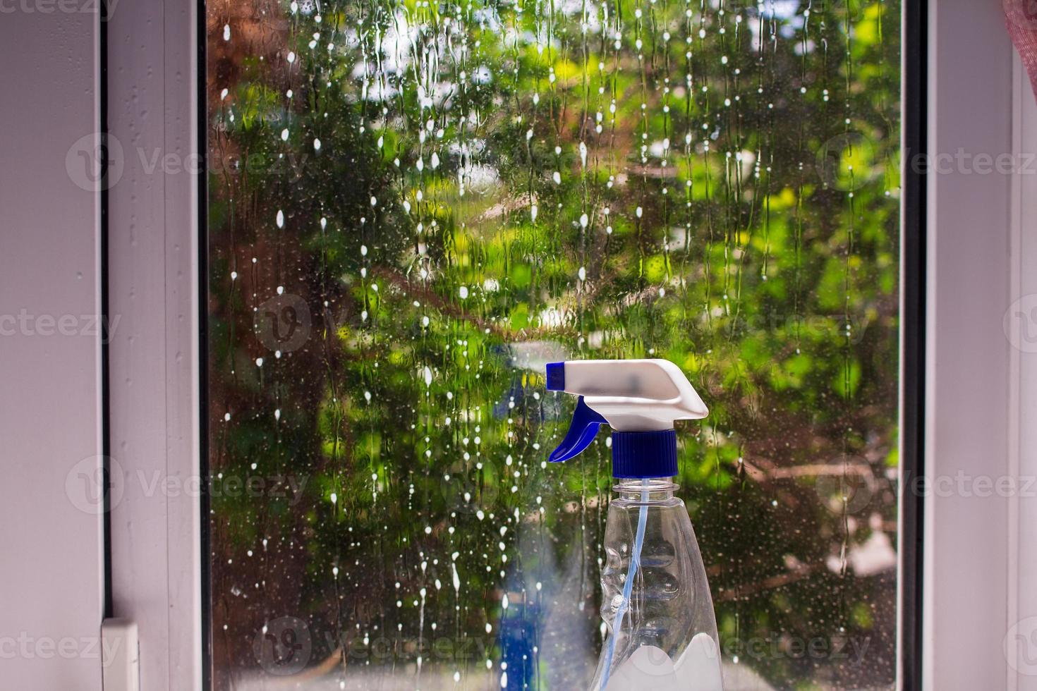 dirty window wetted with foam with a bottle of detergent. Behind glass a tree with green leaves photo