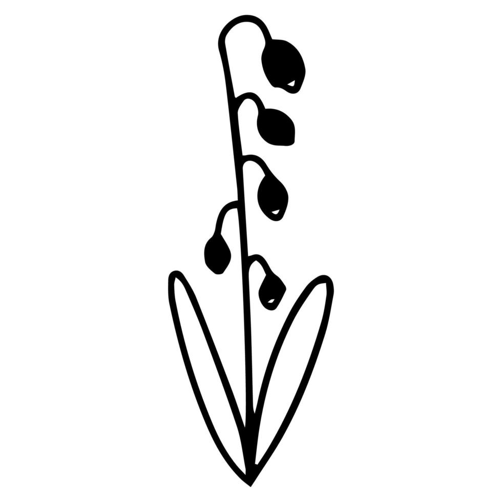 Hand drawn flower in doodle style. One line vector. vector