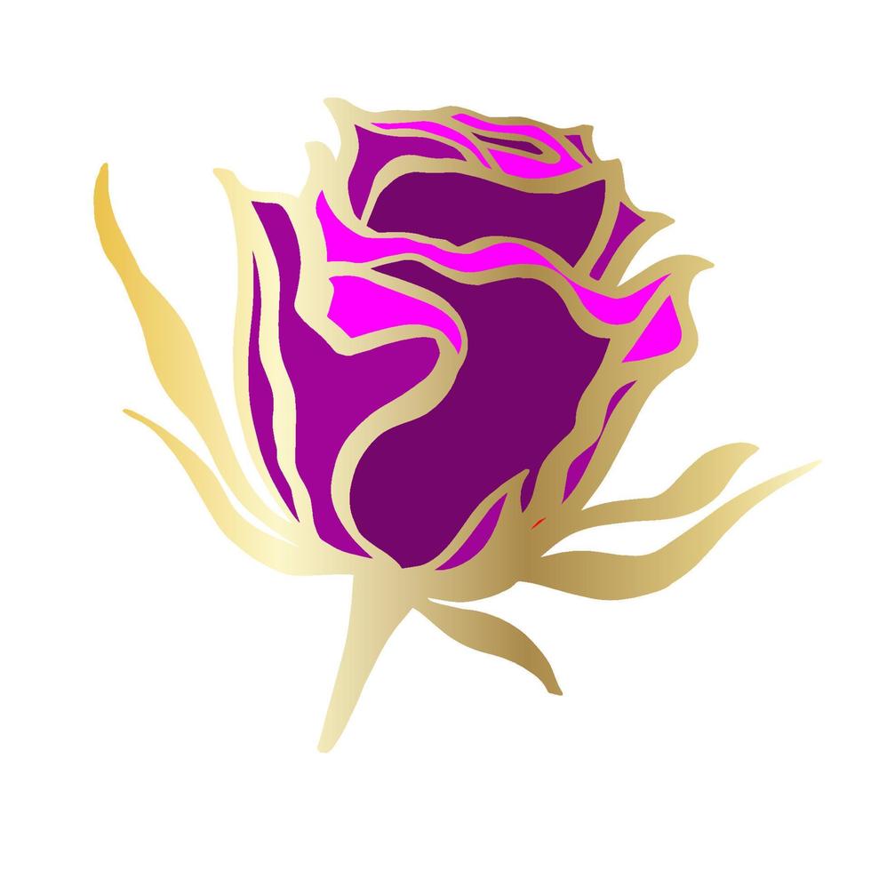 Vector sketch of rose isolated