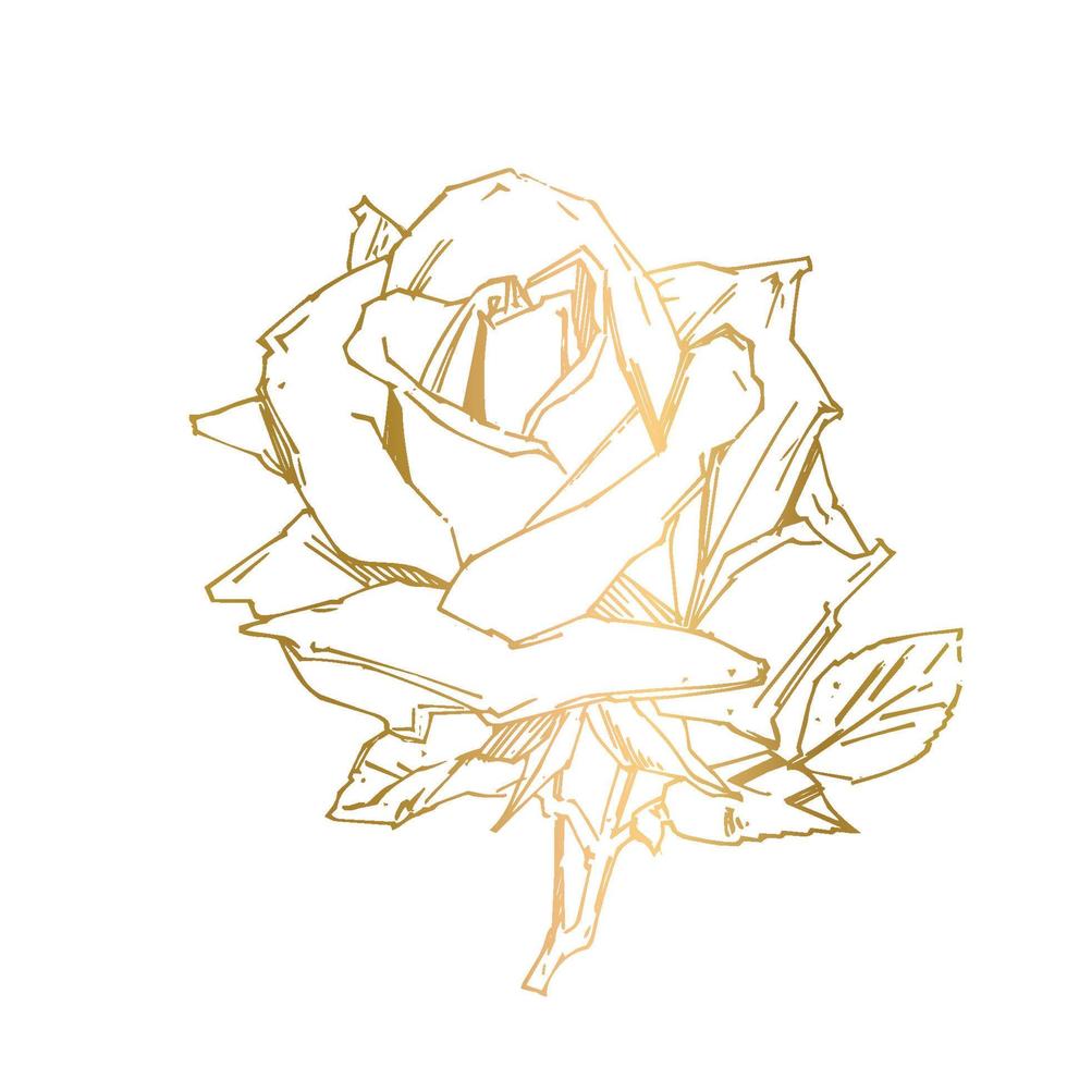 PrintHand drawn rose. Vector illustration. Vintage tattoo style rose. Flower motif sketch for design. Ink illustration isolated.