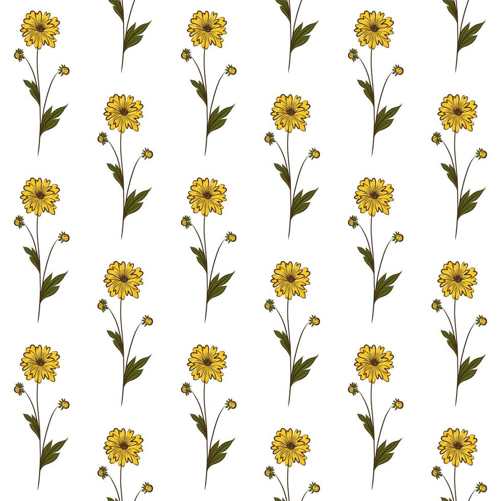 WHITE VECTOR SEAMLESS BACKGROUND WITH YELLOW WILDFLOWERS OF RUDBECKIA
