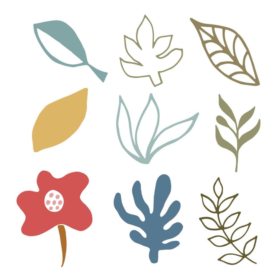Set of vector plant doodle elements for modern design