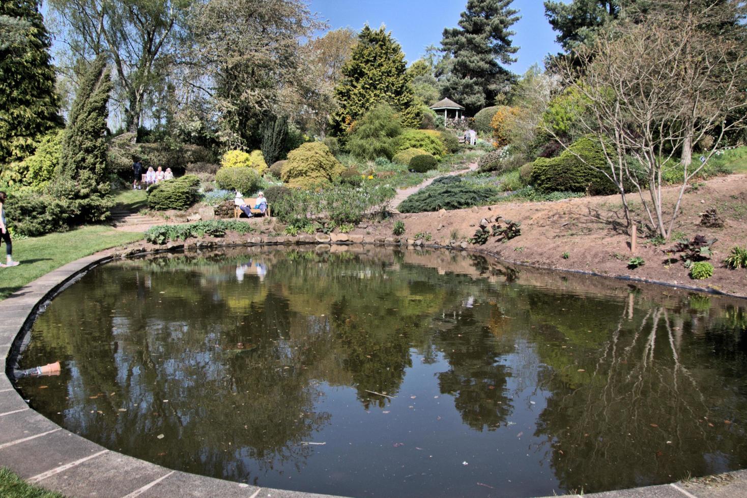 A view of some Flowers photo