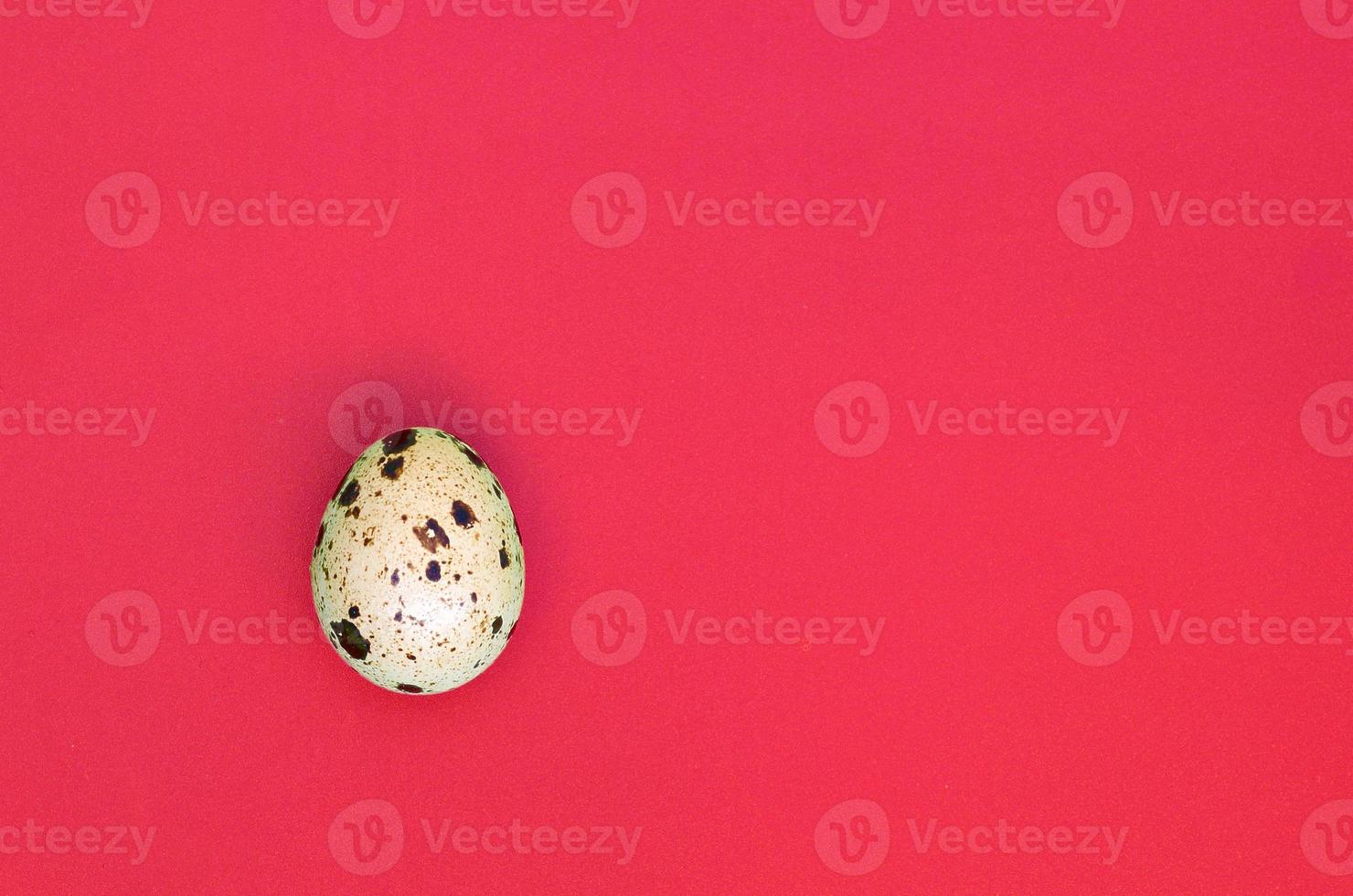 One quail egg on a light red surface, top view, empty place for text photo