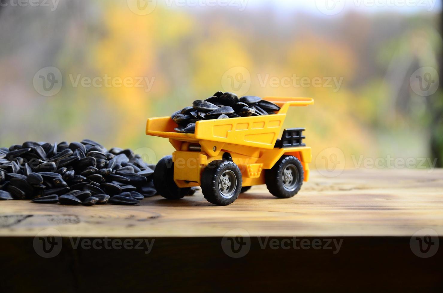 A small yellow toy truck is loaded with sunflower seeds next to a small pile of sunflower seeds. A car on a wooden surface against a background of autumn forest. Transportation of sunflower seeds photo