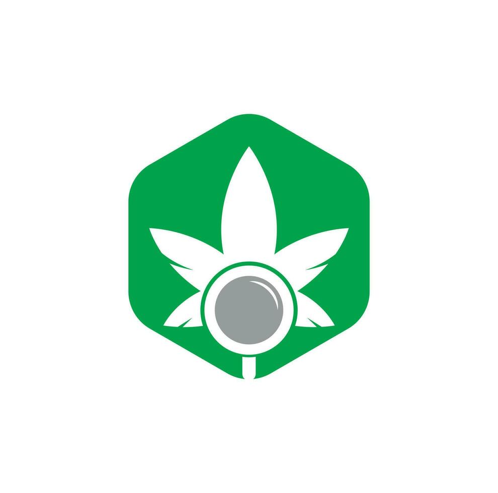Cannabis Search logo design vector template. Marijuana leaf and loupe logo combination. Hemp and magnifying symbol or icon.