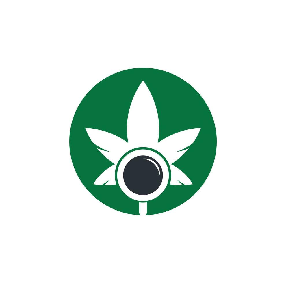plantilla de vector de diseño de logotipo de búsqueda de cannabis. combinación de logo de hoja de marihuana y lupa. cáñamo y símbolo o icono de lupa.