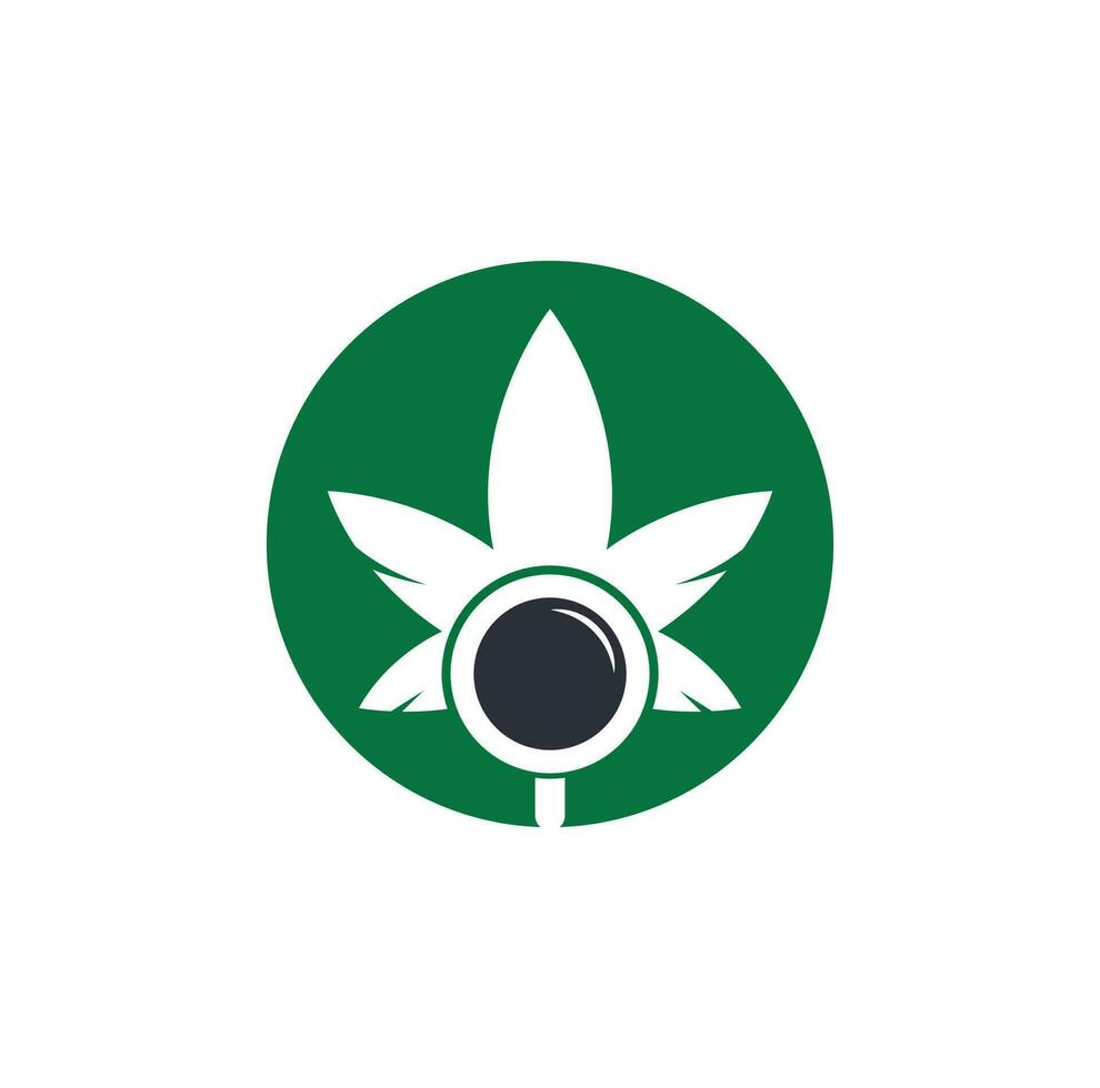 Cannabis Search logo design vector template. Marijuana leaf and loupe logo combination. Hemp and magnifying symbol or icon.