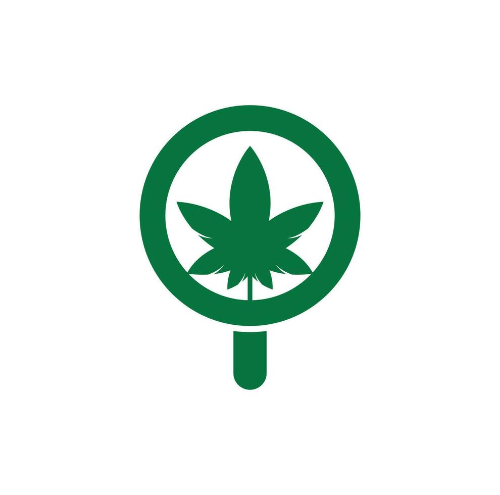 plantilla de vector de diseño de logotipo de búsqueda de cannabis. combinación de logo de hoja de marihuana y lupa. cáñamo y símbolo o icono de lupa.