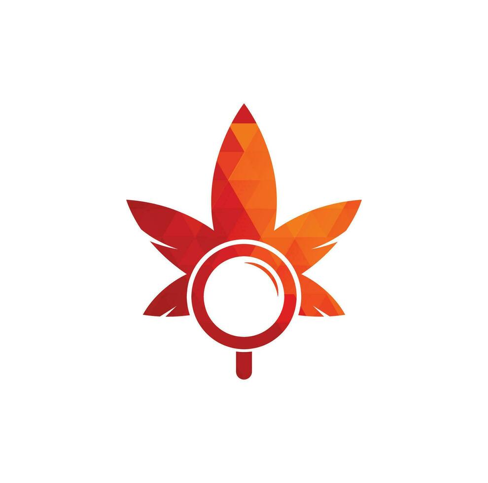 plantilla de vector de diseño de logotipo de búsqueda de cannabis. combinación de logo de hoja de marihuana y lupa. cáñamo y símbolo o icono de lupa.